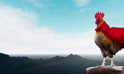 Projectleider zijn van een verandering Projectleider zijn van een verandering