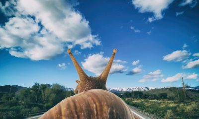 Hoezo druk? Hoezo druk?